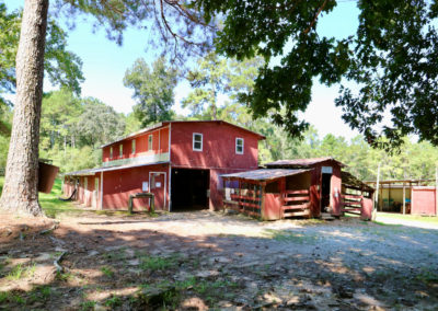 Horse Stables and Riding School